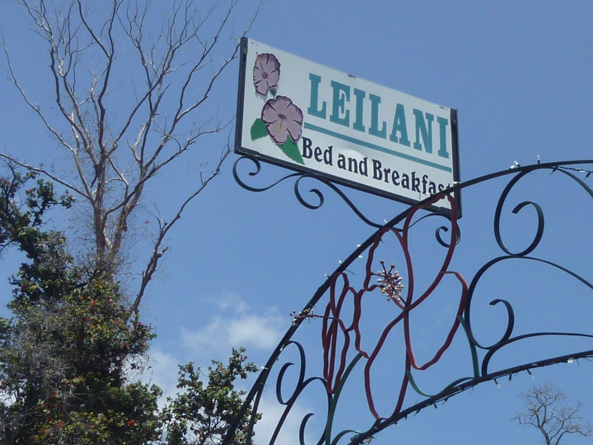 Leilani Bed And Breakfast Ocean View Luaran gambar